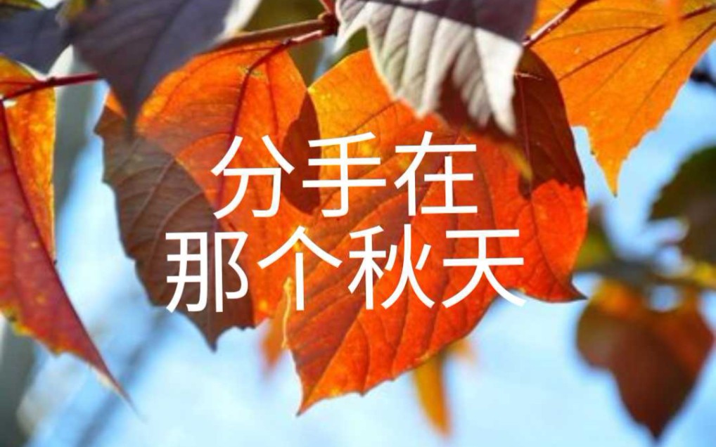 [图]重唱《分手在那个秋天》