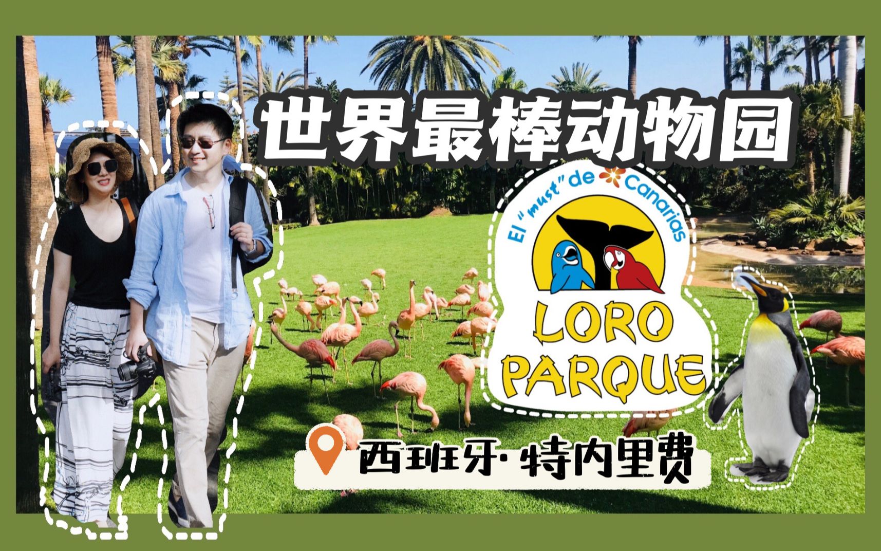 [图]【西班牙・特内里费环岛游】Ep2 世界最棒动物园 Loro Parque | 海滨小城十字港 Puerto de la Cruz