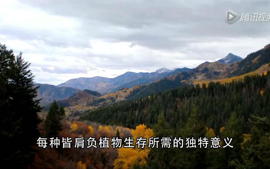 你知道多特瑞精油是什么模式 可以做吗? 效果有没有那么好?哔哩哔哩bilibili