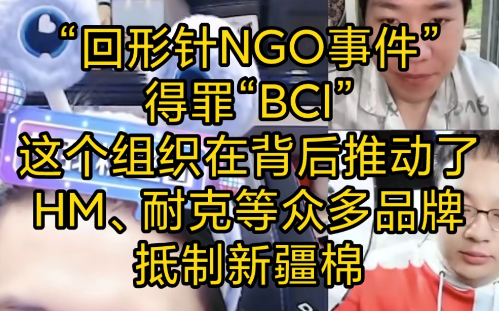 赛雷:“回形针NGO事件”,得罪“BCI”,这个组织在背后推动了HM、耐克等众多品牌发声,抵制新疆棉(2023年10月22日)哔哩哔哩bilibili