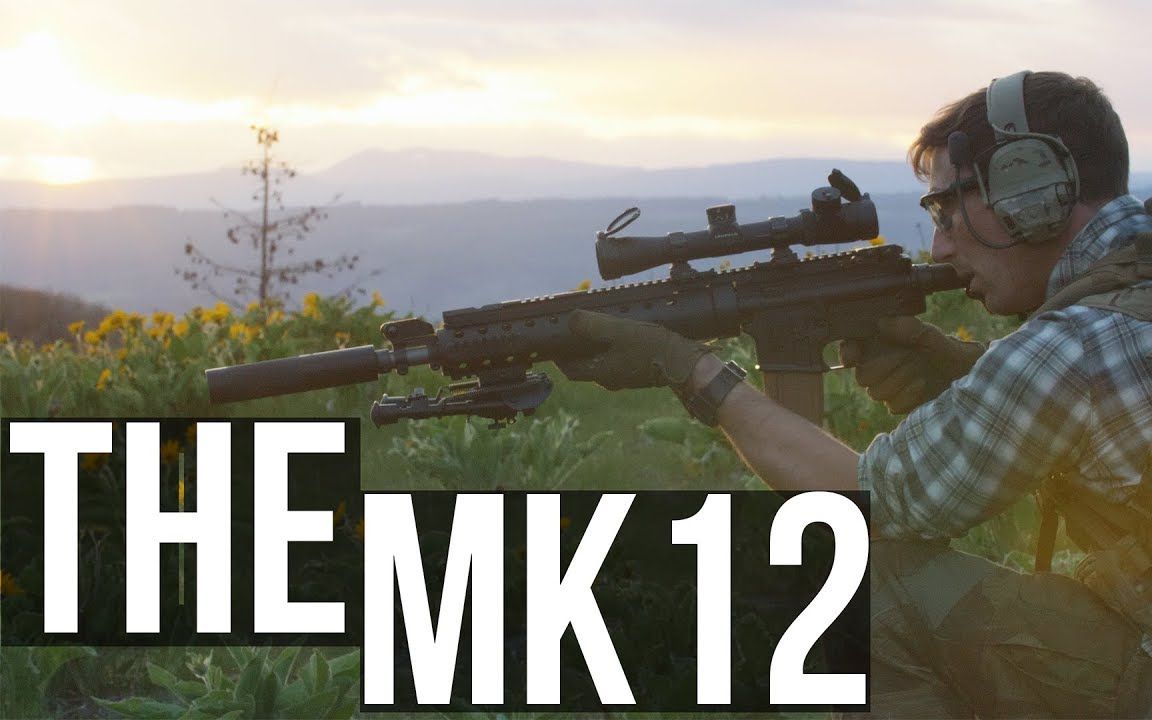 中文字幕garandthumbmk12spr精准射手步枪测评b站特供