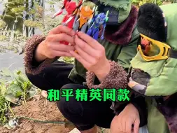 Video herunterladen: 还能回来吗...