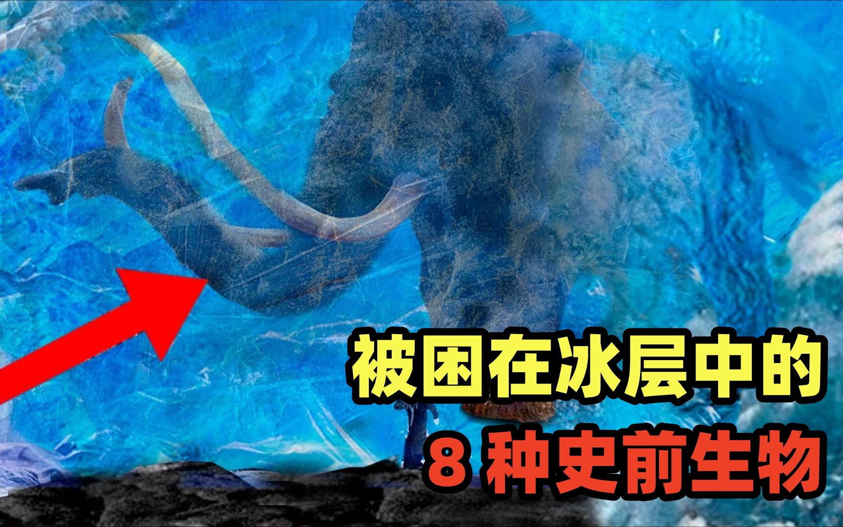 盘点被冰封的8种史前生物:长毛犀长得很吓人,史前万兽之王居首哔哩哔哩bilibili