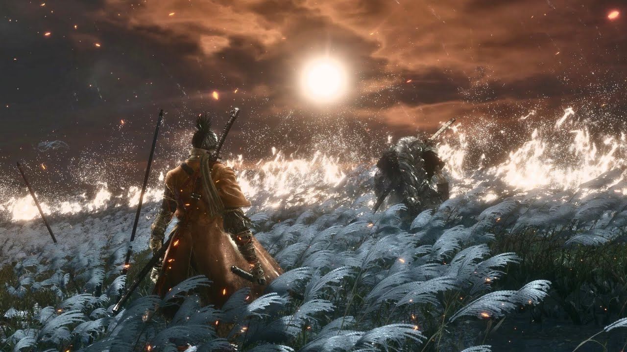 只狼:无伤不祥之黑枭