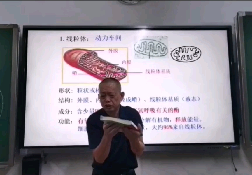 【惠州一中】你见过这样的生物老师吗?哔哩哔哩bilibili