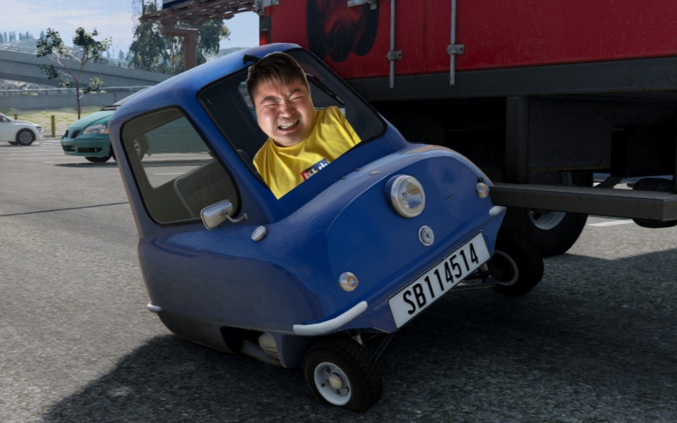 丽丽被粗心货车司机倒车压扁