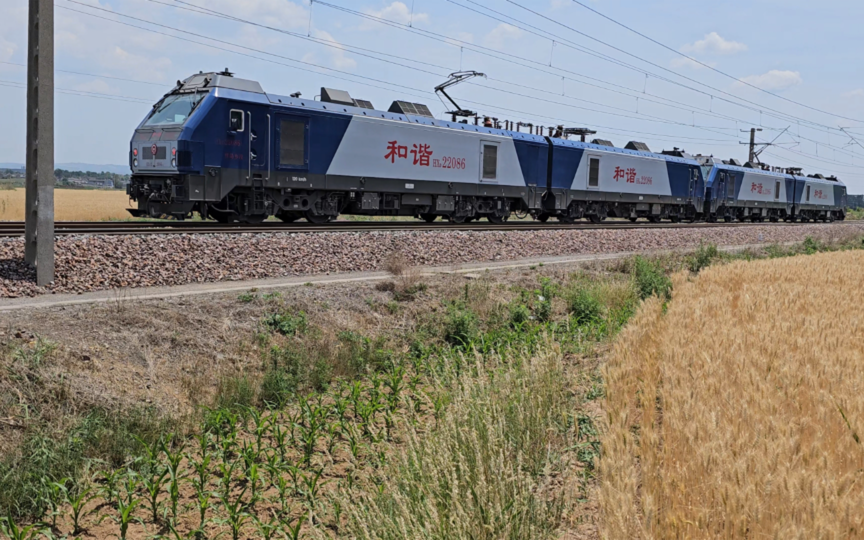 蓝天白云 风吹麦香 和谐电二型电力机车呼啸而过