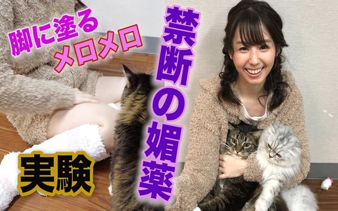 【小池里奈】让猫咪变得迷迷糊糊的禁断的“媚药”?【实验】哔哩哔哩bilibili