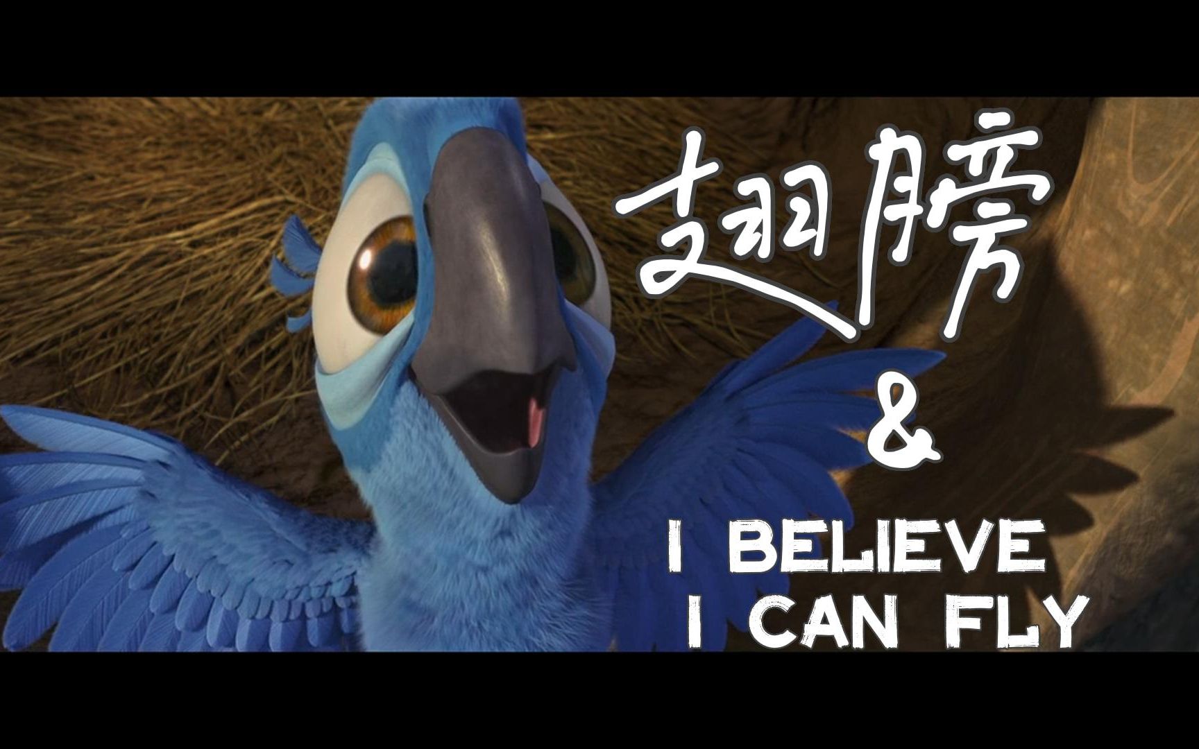 翅膀 i believe i can fly 【里约大冒险 剪辑mv】