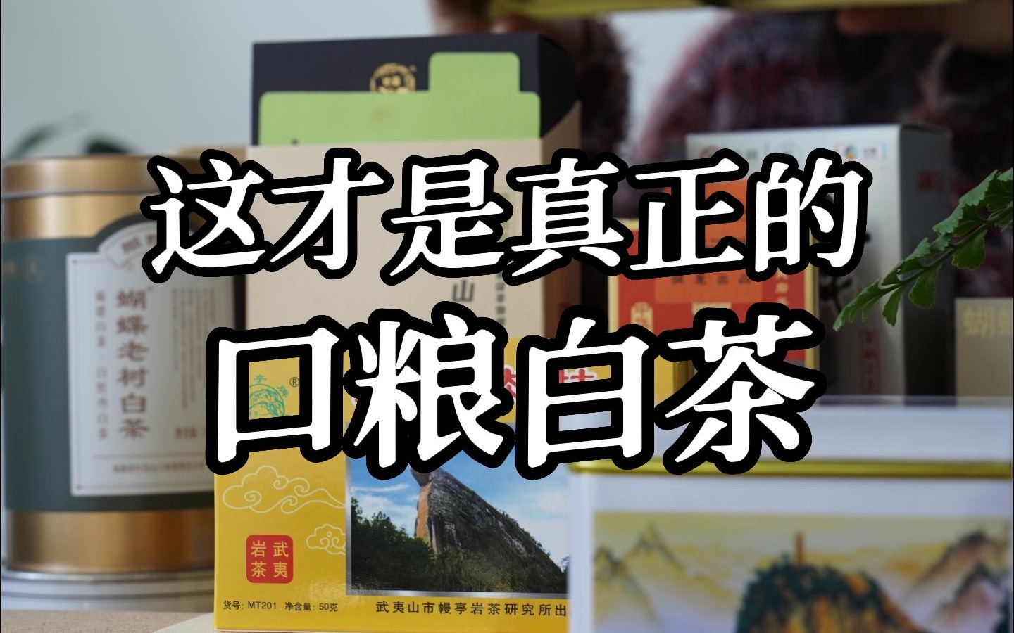 [图]12月茶叶开箱（下）｜特殊时期喝白茶，口粮白茶推荐！还有一些“离谱”的茶……