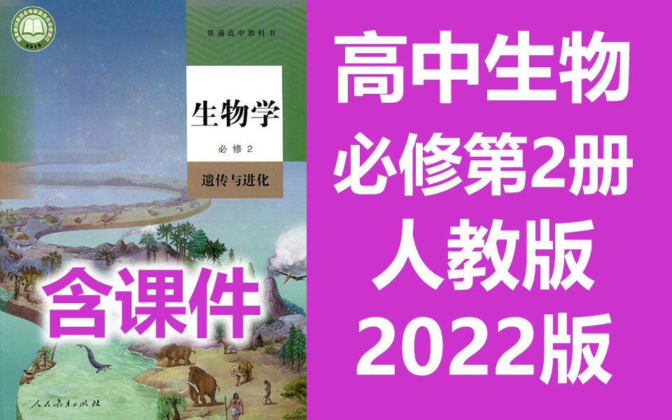 [图]生物必修第2册 生物必修二 遗传与进化 人教版 2023新版 高中生物必修2高一生物必修二生物学 2019版新课标