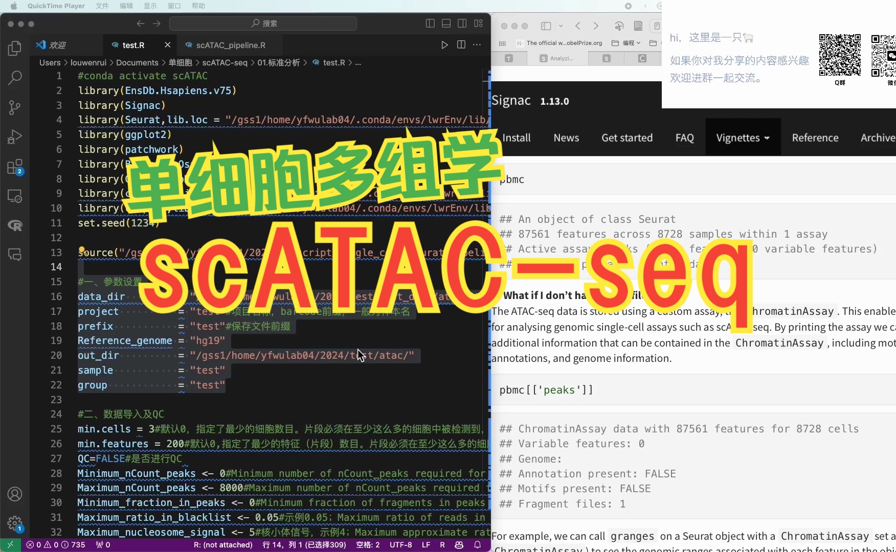 使用Signac进行scATAC分析 | 更多内容请转gzh哔哩哔哩bilibili