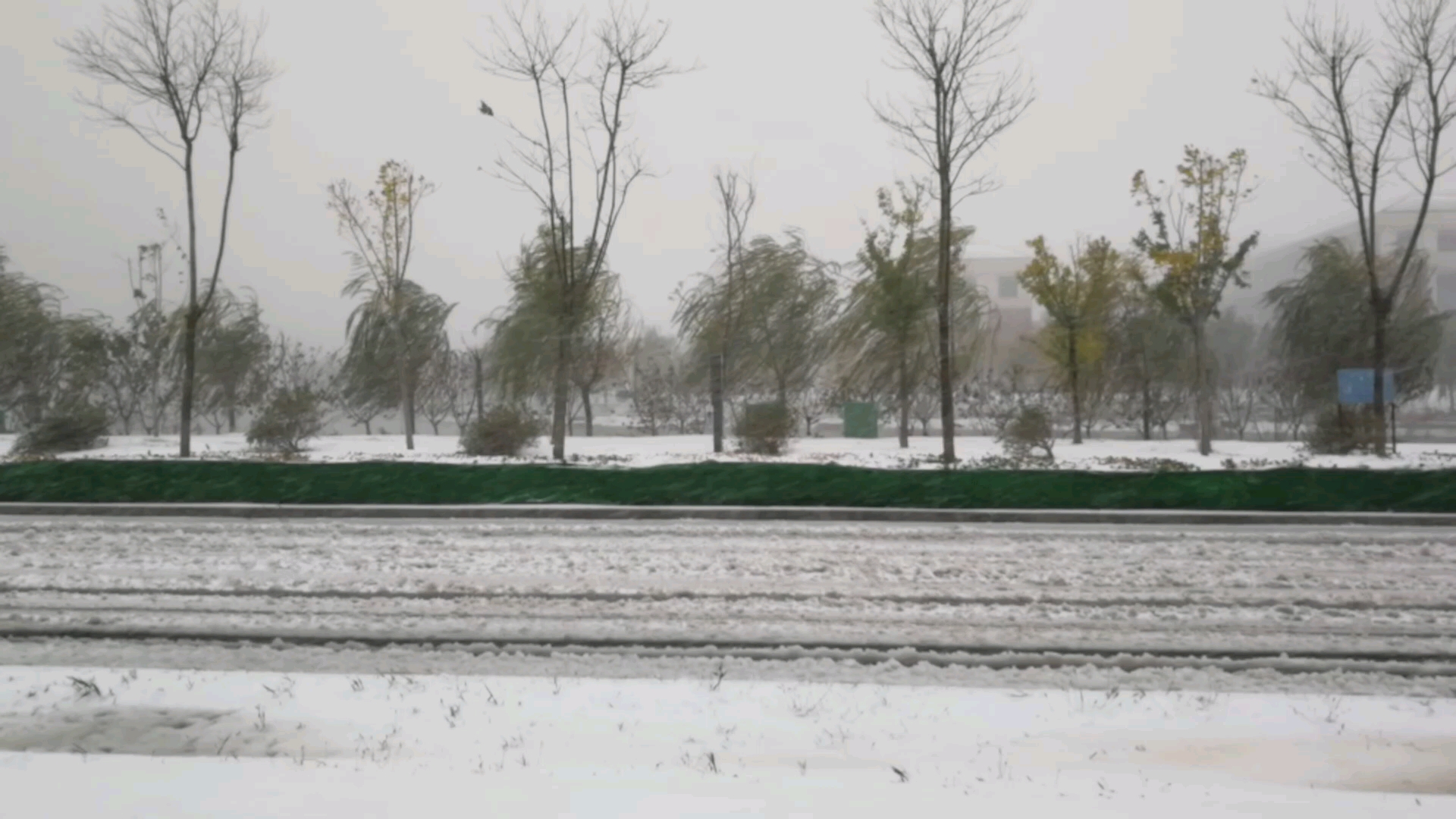 [图]天津的暴雪橙色预警 暴风+雪