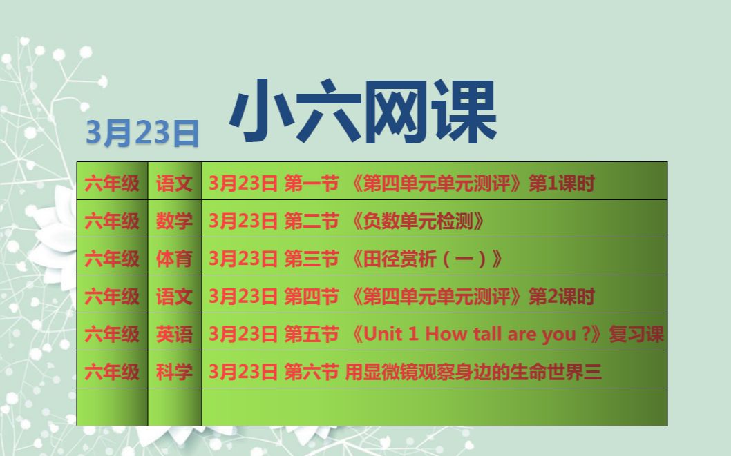 3月23日 小六网课 合集哔哩哔哩bilibili