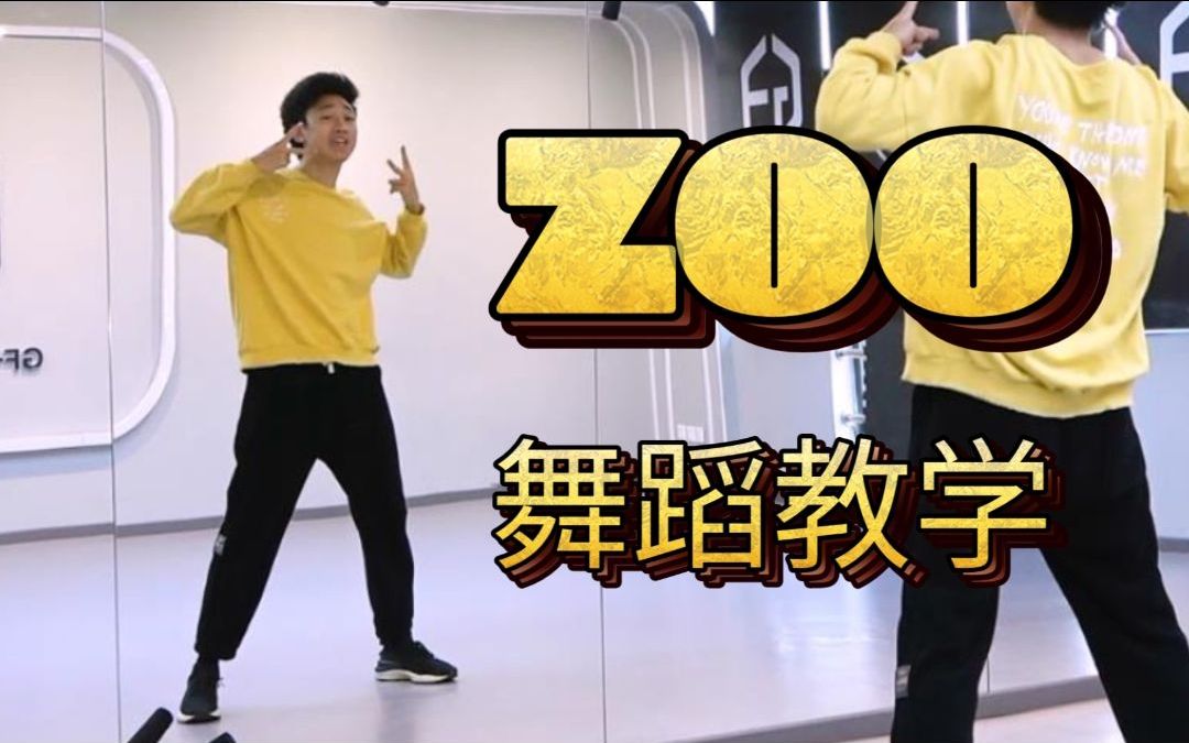 【南舞团】sm冬日专辑合作曲《zoo》舞蹈教学 全曲翻跳(上)哔哩哔哩bilibili