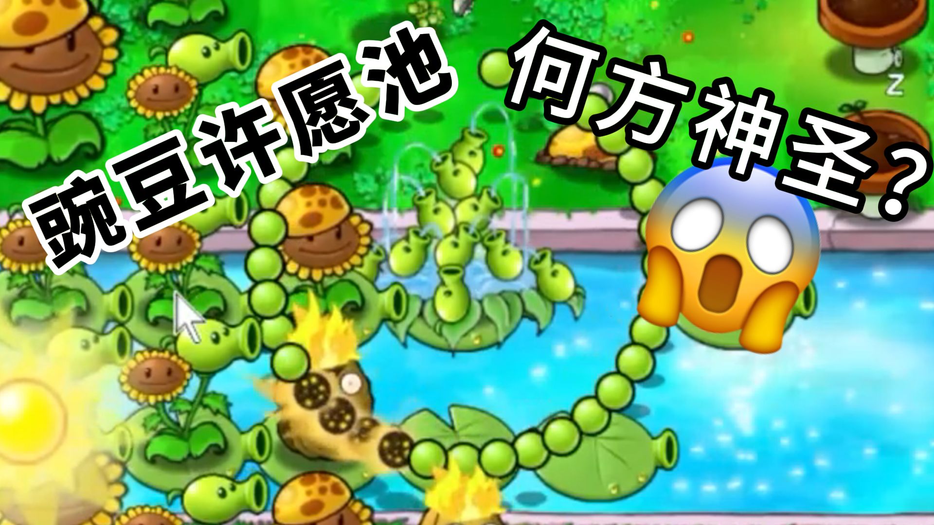 大喷菇paromax版:豌豆许愿池!