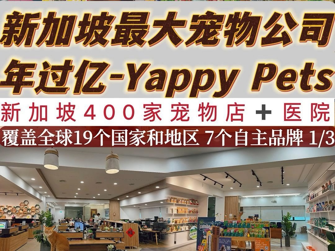 新加坡最大的宠物公司 年过亿 Yappy Pets 第一集哔哩哔哩bilibili