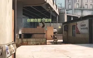 Download Video: csgo大怨种