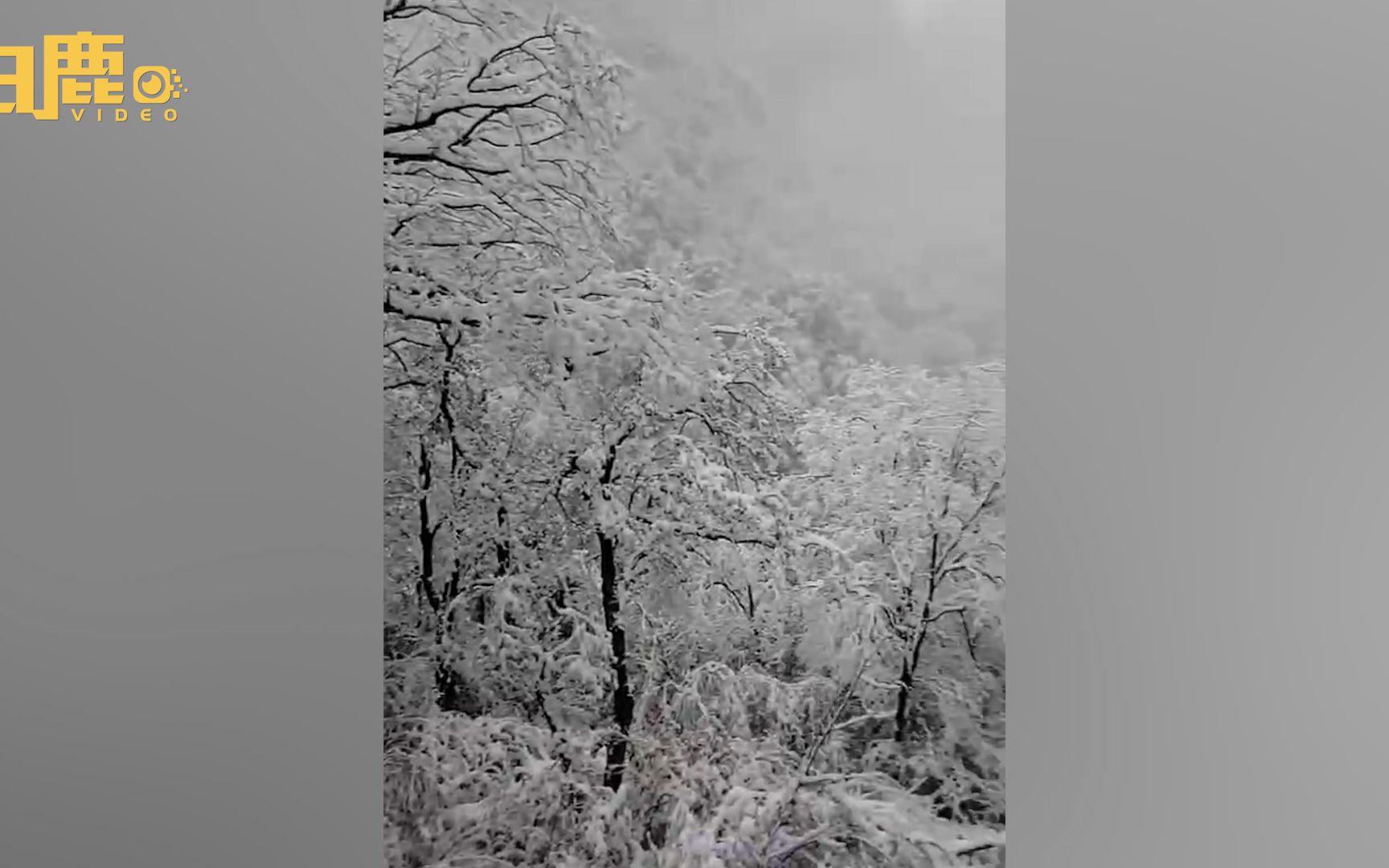 [图]陕西宝鸡多地五月飘雪，太白山积雪厚度近10厘米