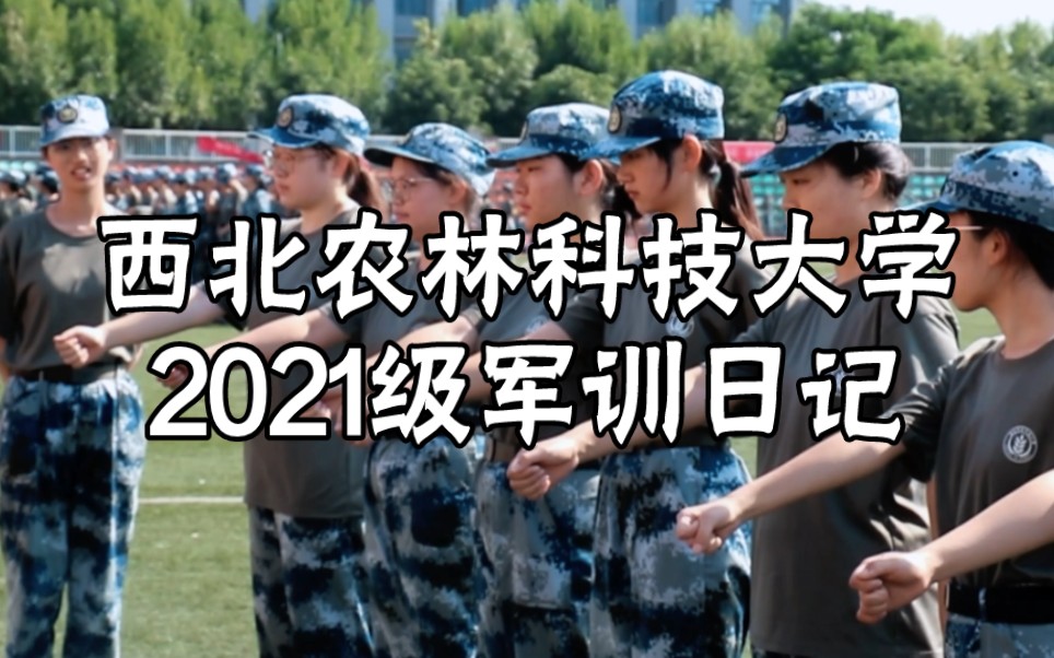 你可见过这样的大学军训?西北农林科技大学2021级大学军训日记 走进西农军训实录哔哩哔哩bilibili