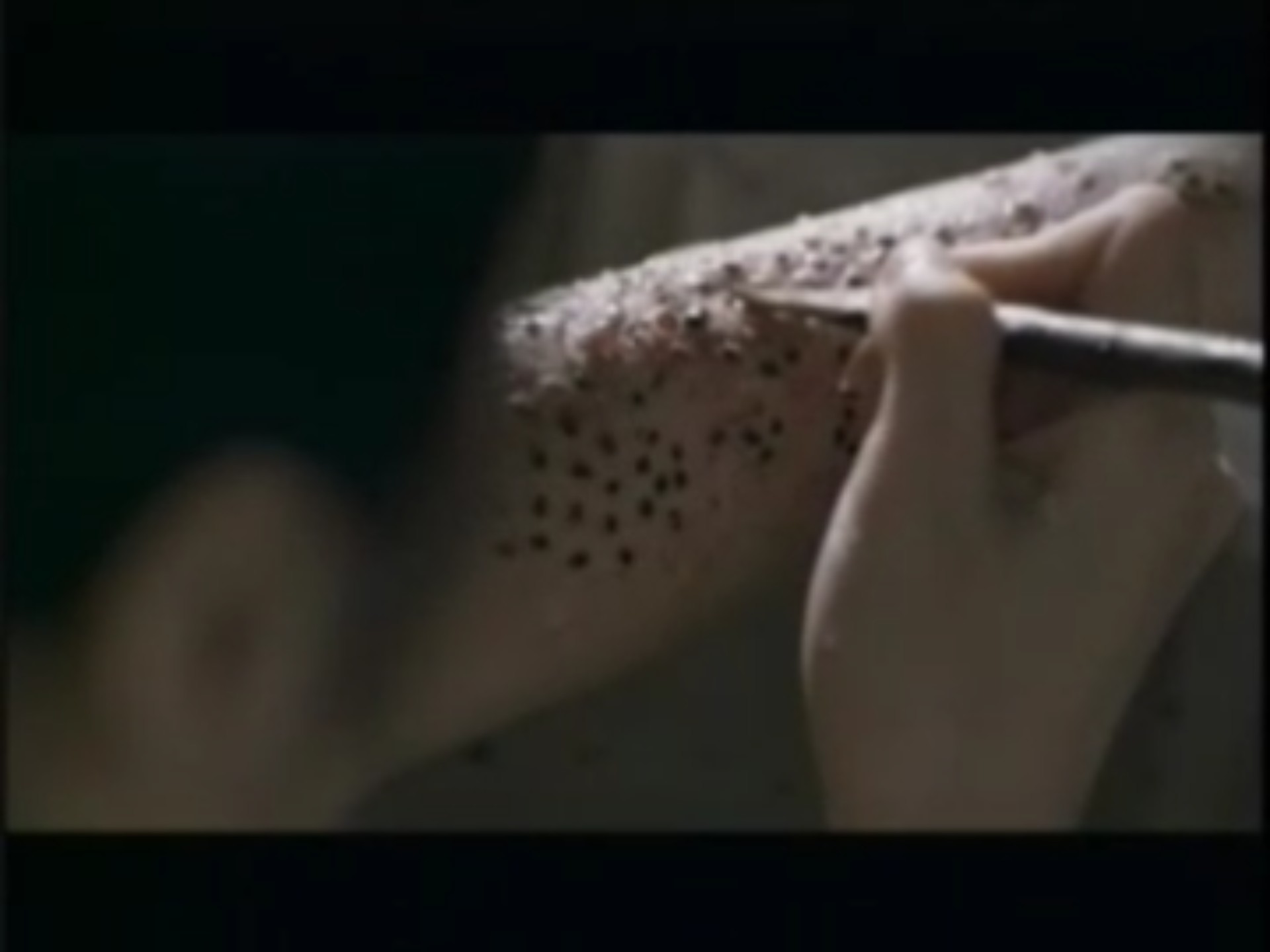 童年阴影"芝麻女孩"制作过程