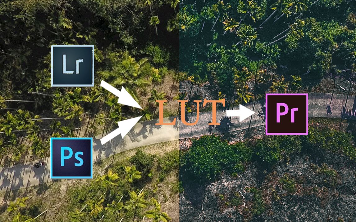 【视频调色】如何用LR或PS导出视频调色lut文件,新手最简单易用的视频调色方法哔哩哔哩bilibili