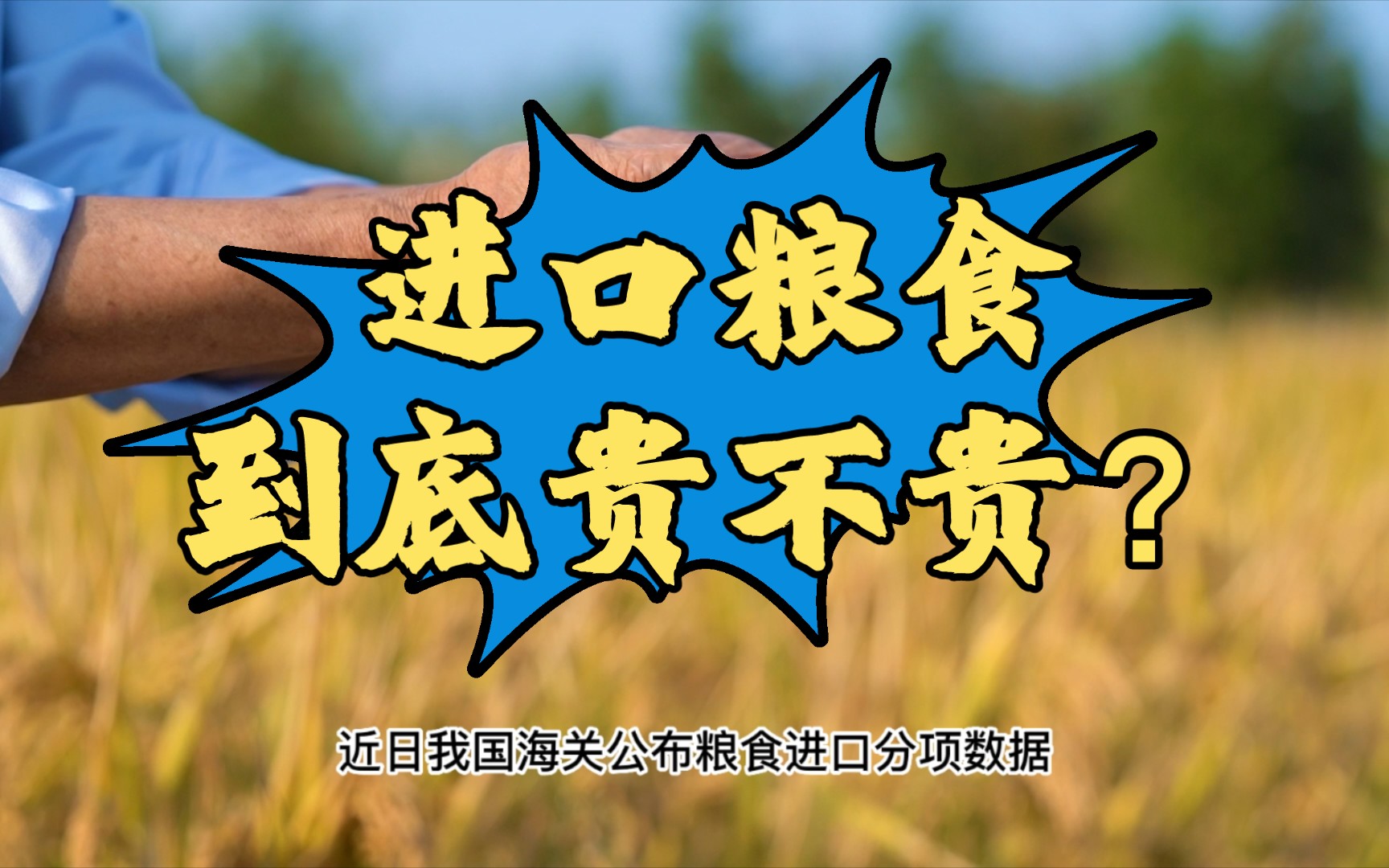 每日粮油盘点:2014年以来我国主要粮食品种进口数量和价格变化哔哩哔哩bilibili