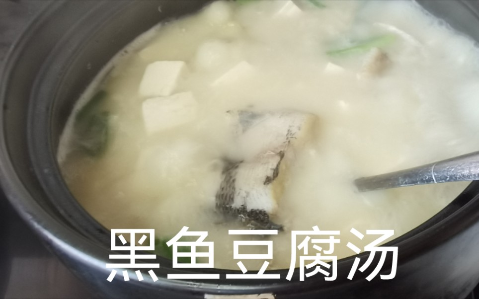 家常美食之黑鱼豆腐汤,喝一碗舒服一整天哔哩哔哩bilibili