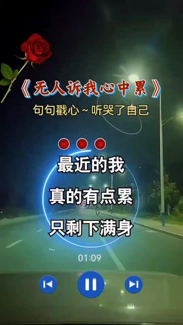 无人诉我心中累……#伤感音乐 #说不出的或许都在歌里 #说不出的心酸
