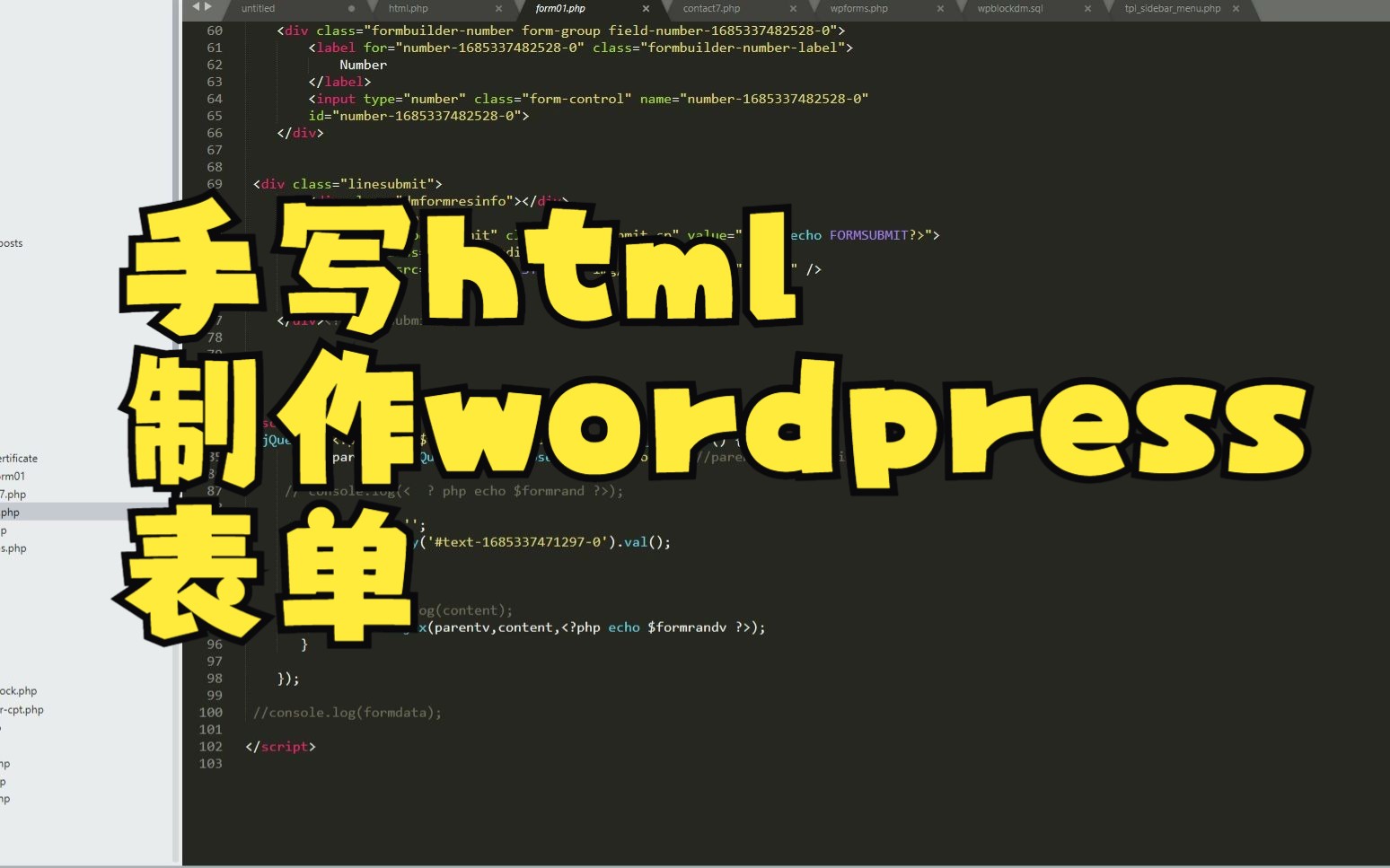 5 方法2,手写html制作wordpress表单哔哩哔哩bilibili