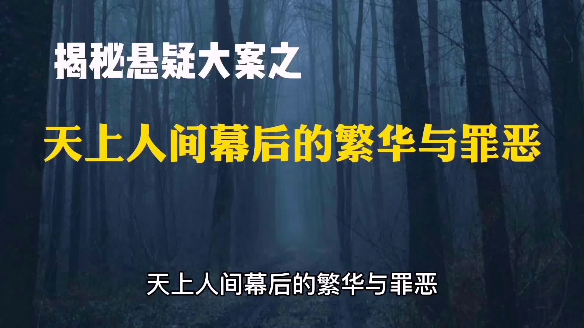 京城最大的娱乐场所,“天上人间”幕后的繁华与罪恶|揭秘悬疑大案哔哩哔哩bilibili