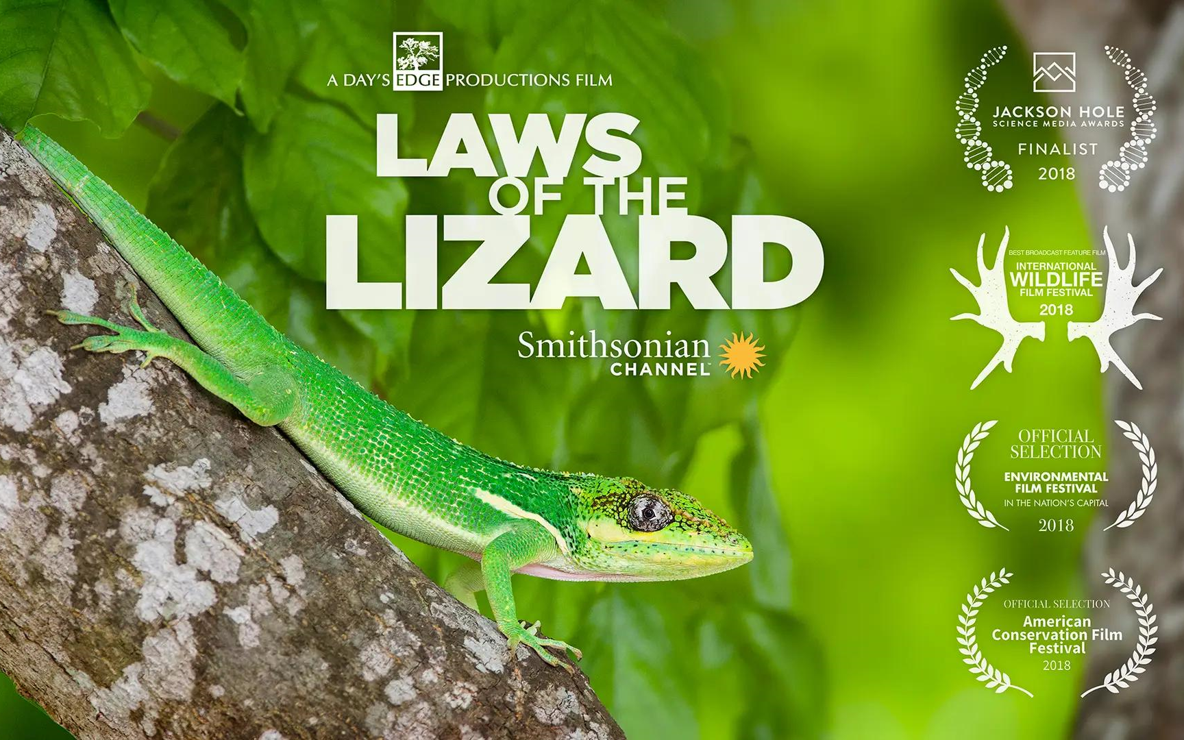 [图]蜥蜴法则 Laws of the Lizard