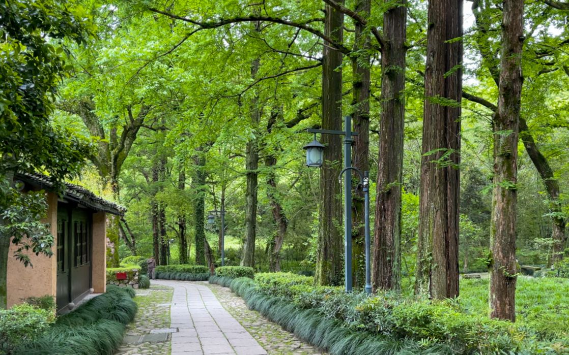 [图]杭州本地人才找得到的春天静谧之地