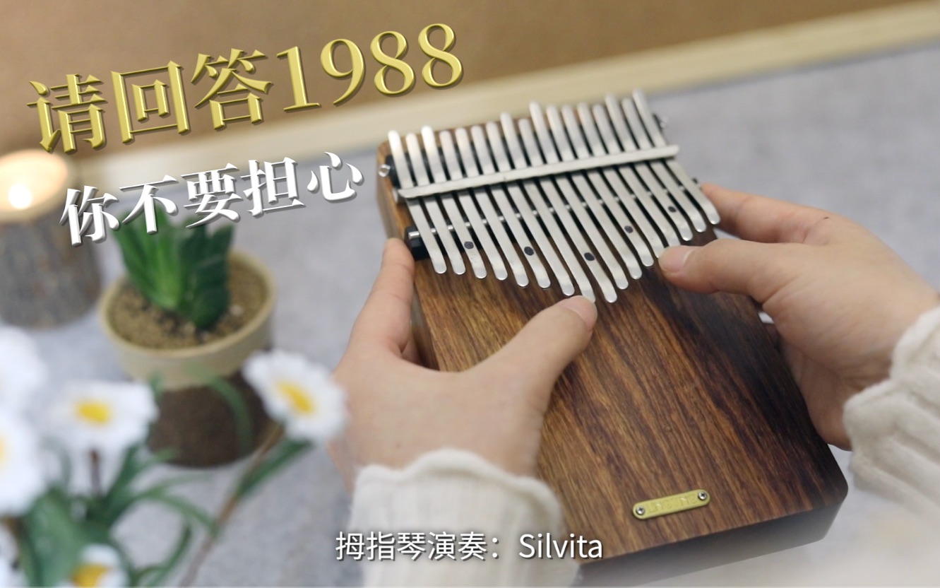 [图]【请回答1988】《你不要担心》&《惠化洞/双门洞》（拇指琴纯音乐）