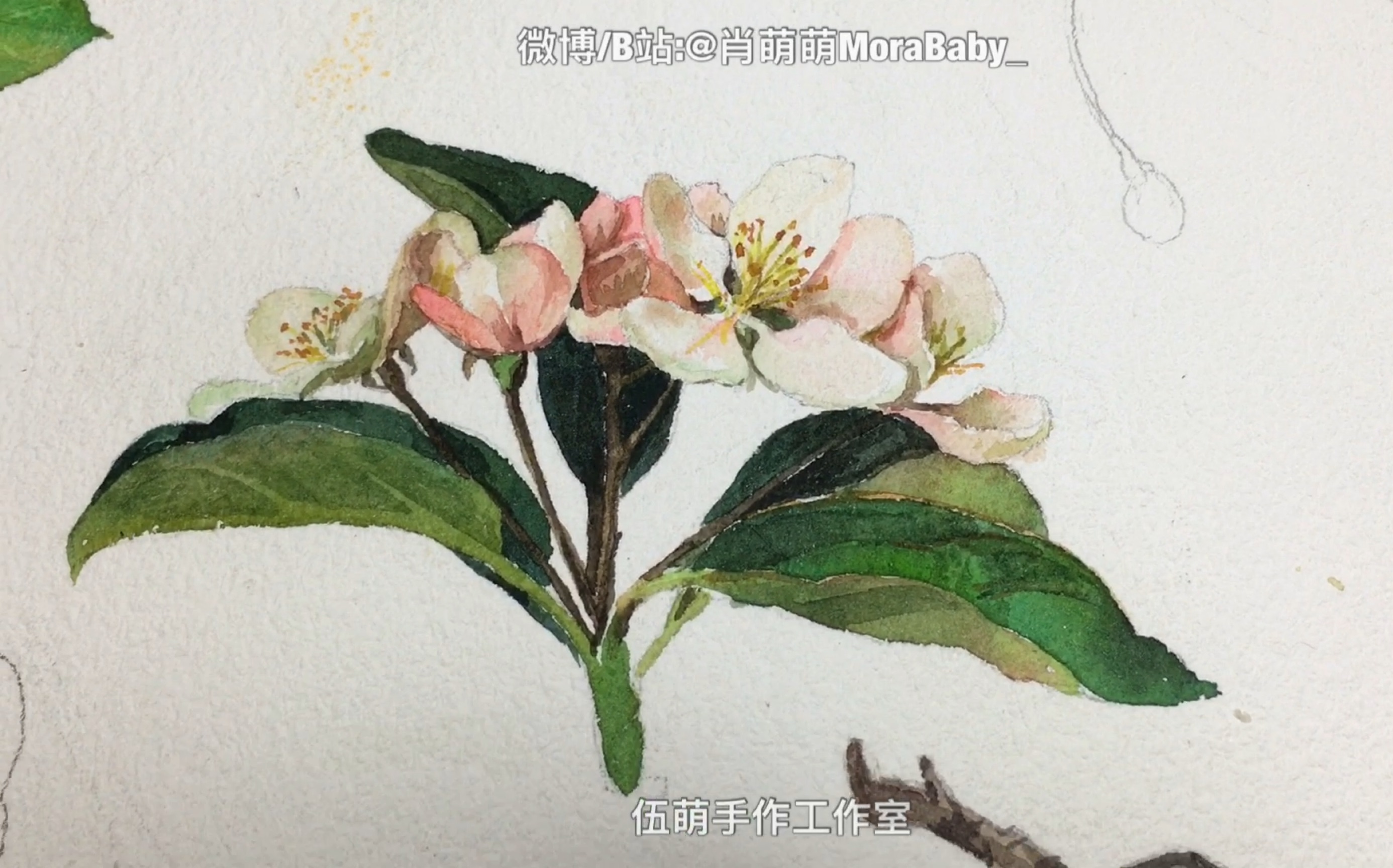 包邮送【红粉菲菲春日花,手中纸笔轻巧画】每日一绘识图鉴2019.02.10微博/B站:@肖萌萌MoraBaby伍萌手作工作室哔哩哔哩bilibili