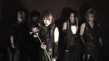 the GazettE 】BD1080p LIVE TOUR 13-14 MAGNIFICENT MALFORMED BOX