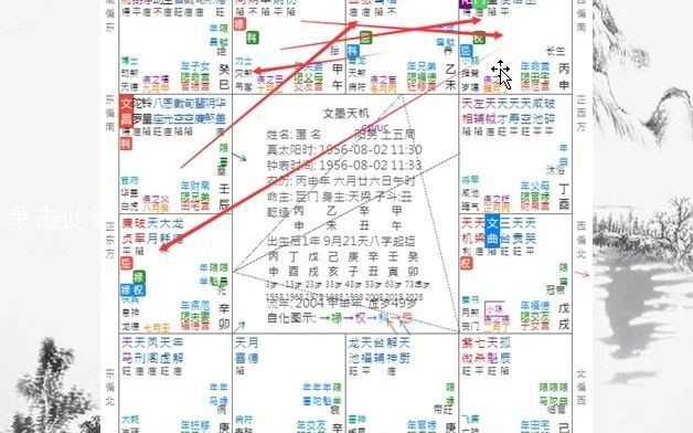 紫微斗数疾厄宫叠加忌后引发的死亡哔哩哔哩bilibili