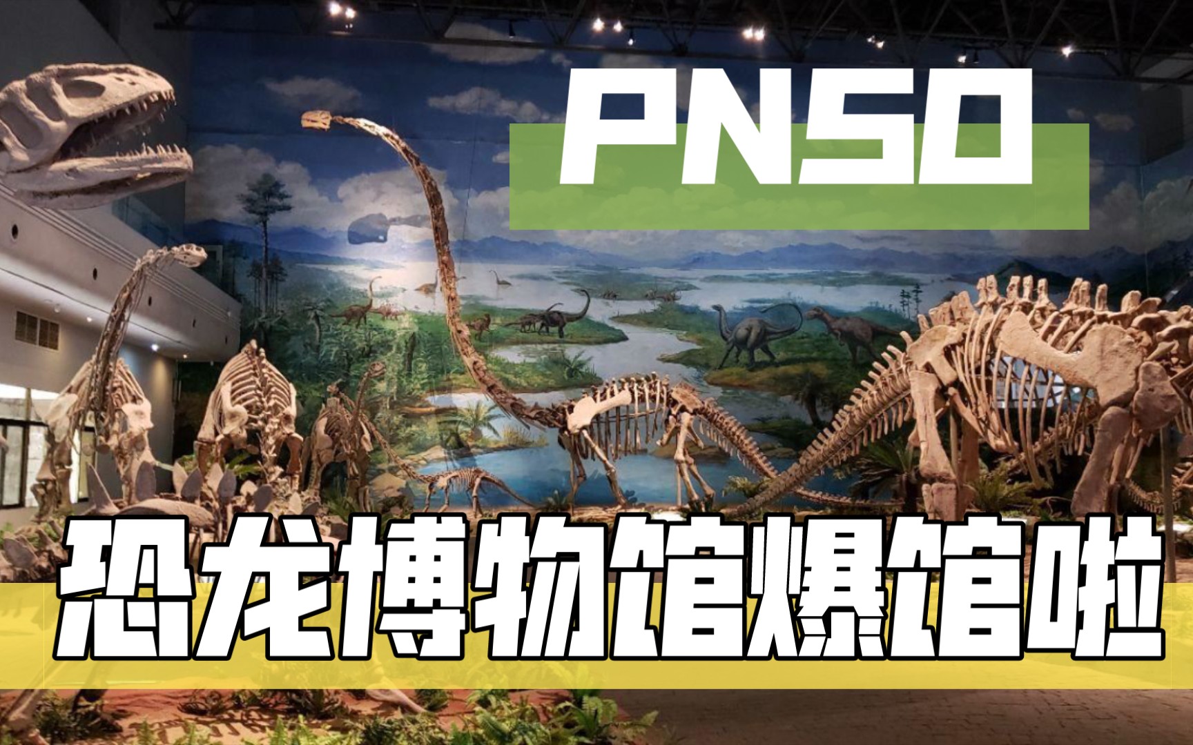 pnso恐龙大王博物馆系列盘点及对比成长陪伴系列区别盘点!