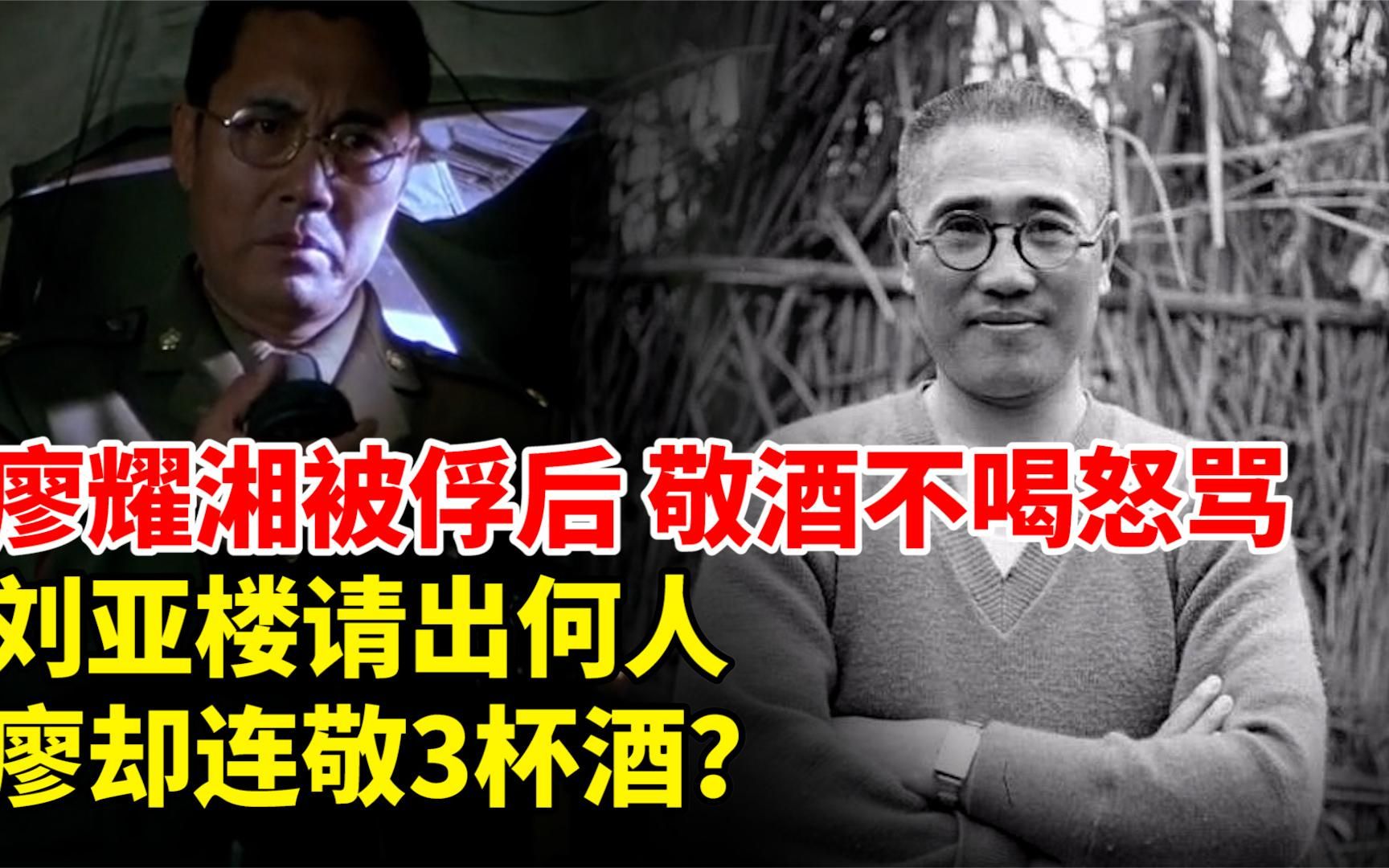 廖耀湘被俘后,敬酒不喝怒骂,刘亚楼请出何人,廖却连敬3杯酒?哔哩哔哩bilibili