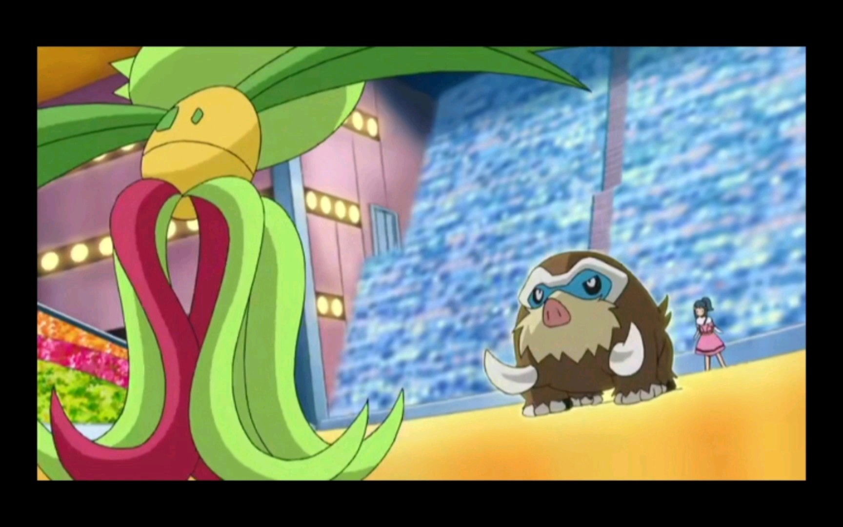 精灵宝可梦 象牙猪的攻击全部被尖牙笼躲掉了 小光的分数狂掉