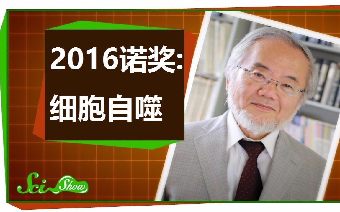 【SciShow】2016诺贝尔生理学或医学奖:细胞自噬 @圆桌字幕组哔哩哔哩bilibili