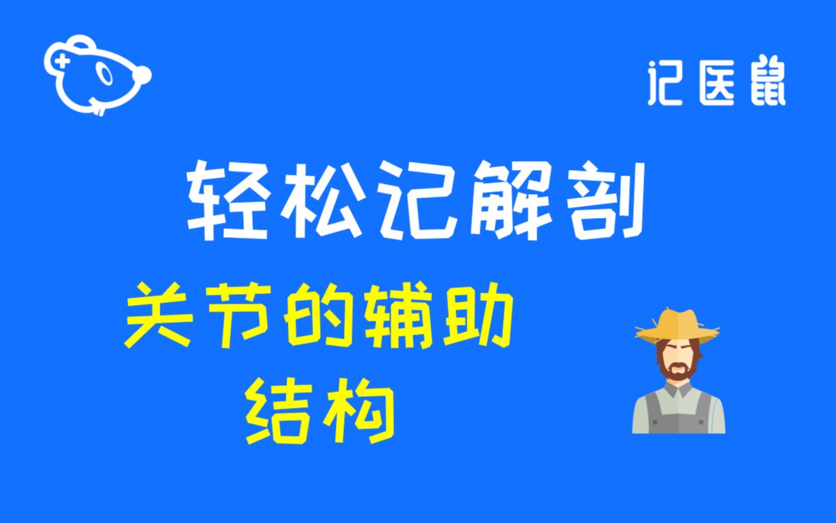 40 解剖 轻松记 关节的辅助结构哔哩哔哩bilibili