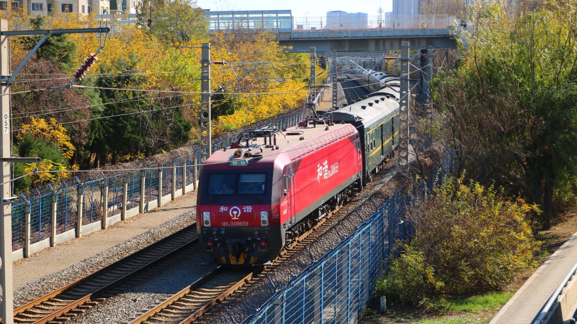 【列车编组】t131 大连