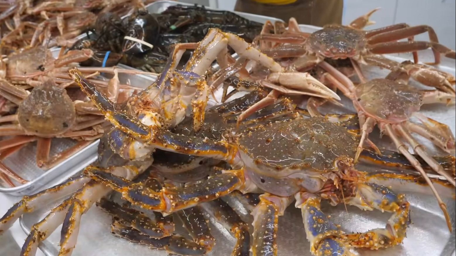 每月销售 8,000 公斤!各种巨型帝王蟹,龙虾
