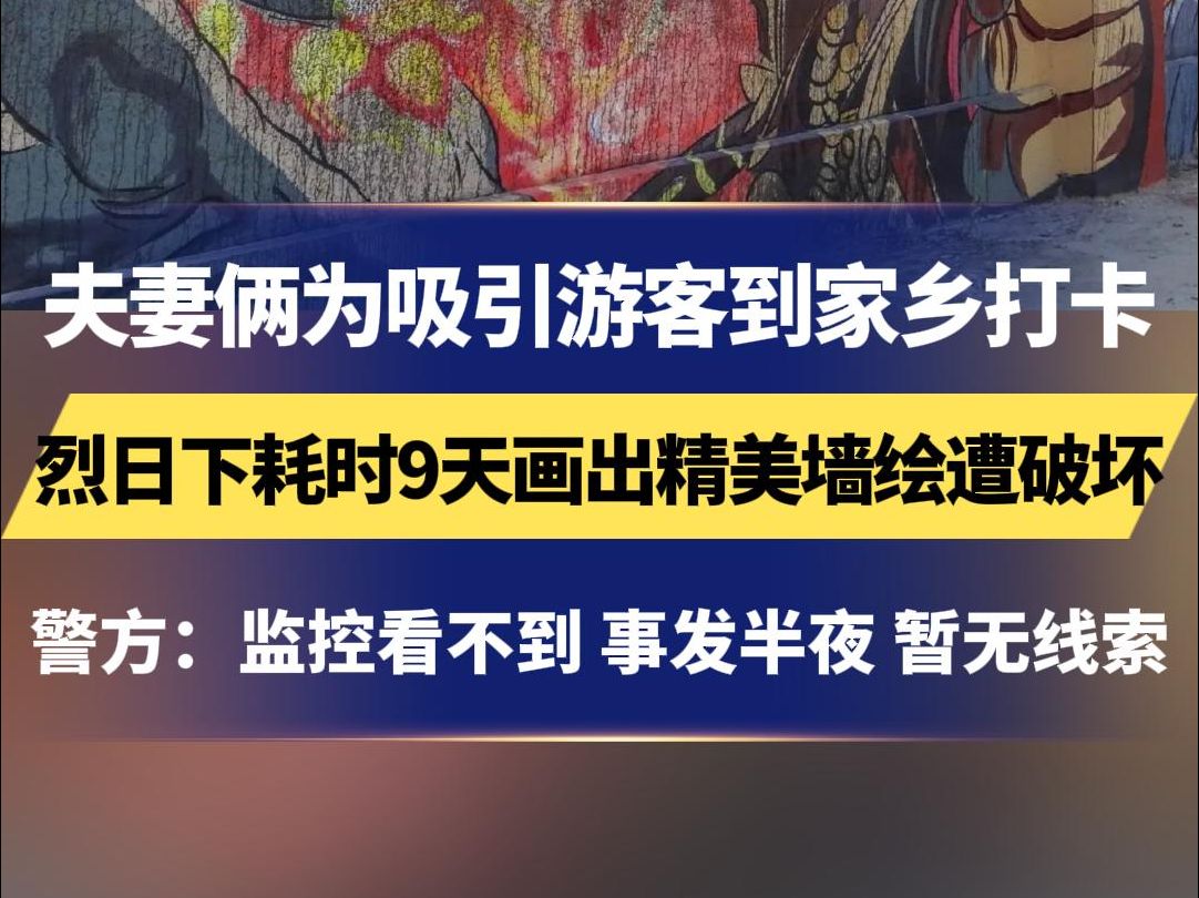 夫妻俩为吸引游客到家乡打卡 烈日下耗时9天画出精美墙绘遭破坏 警方:监控看不到 事发半夜 暂无线索哔哩哔哩bilibili