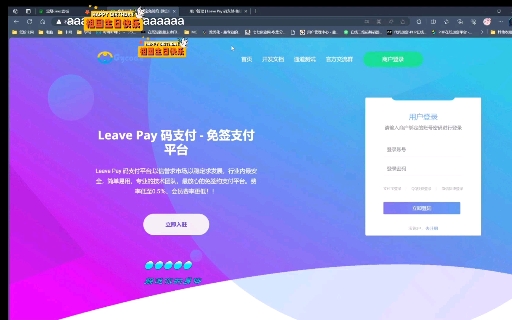 Leave Pay三网免挂码支付intl 零度 支付 免签哔哩哔哩bilibili