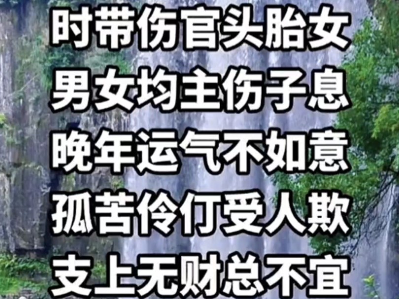 八字基本知识(84)哔哩哔哩bilibili