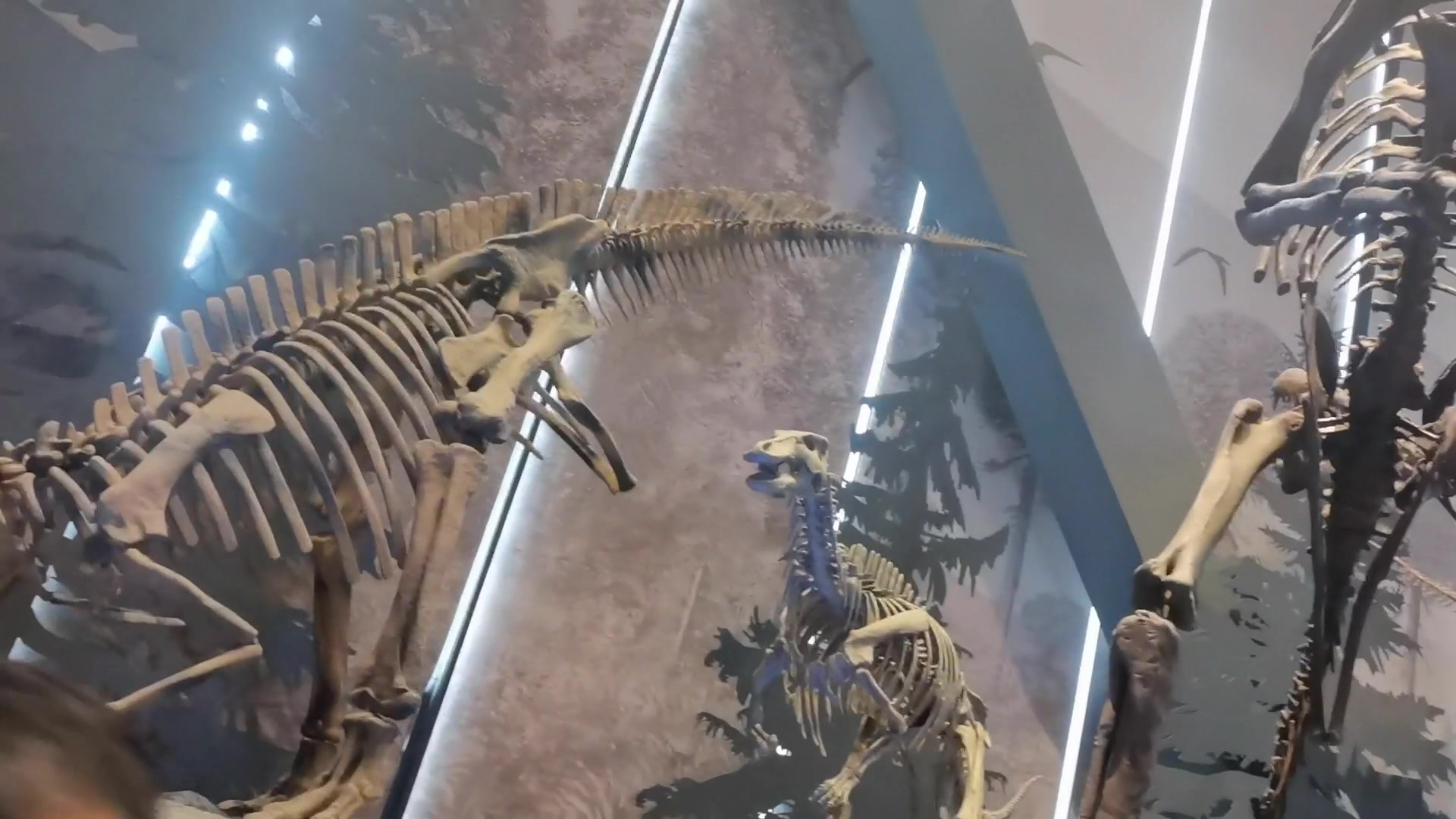 中国古动物馆旅游景点