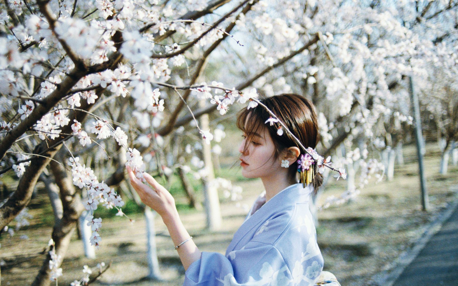 隐形守护者武藤纯子这世界非黑即白而你是唯一的色彩