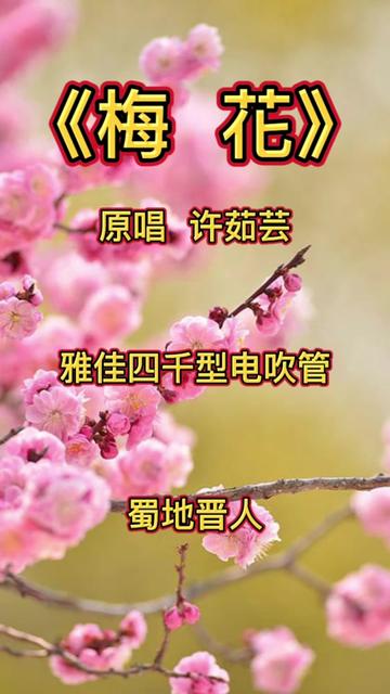 《梅花》原唱许茹芸哔哩哔哩bilibili